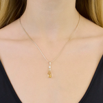 Cargar imagen en el visor de la galería, Collar Extasis Champagne